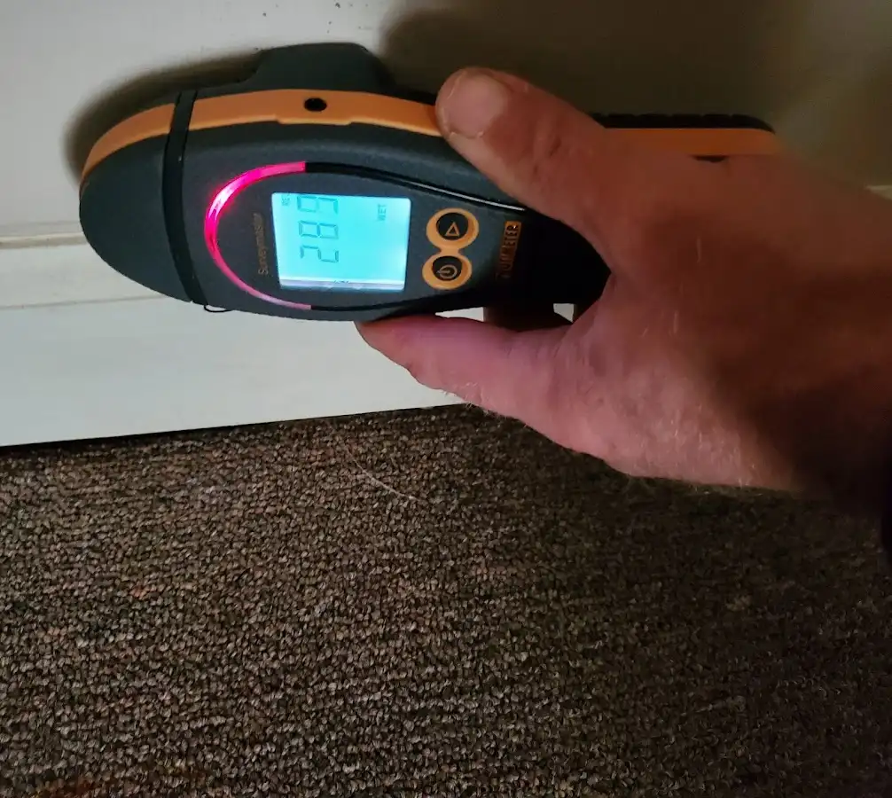 Moisture detection at baseboard during Mold Inspection & Testing in Lenox